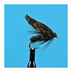 Alder Fly Wet