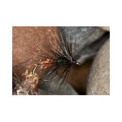 Black and Orange Worm Fly