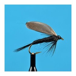 Black Gnat Wet Fly