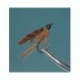 Brown Drake Wet Fly