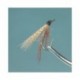 Cahill Dark Wet Fly