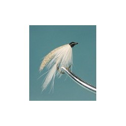 Cahill Light Wet Fly