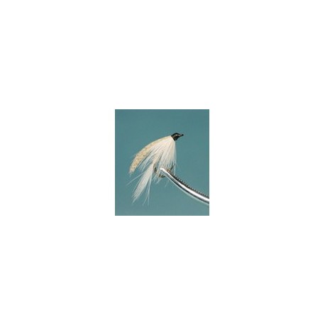 Cahill Light Wet Fly