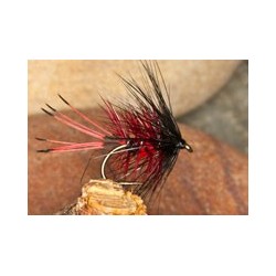 Claret Bruiser Bibio