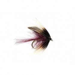 Claret Hatching Olive