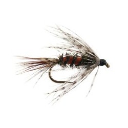 Classic Peacock Nymph Bl
