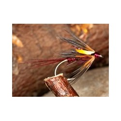 Cruncher Polar Claret