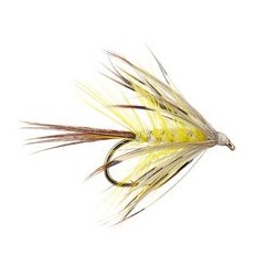French Partridge Mayfly