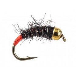 Le Ninfe Con La Testa Dorata Sono