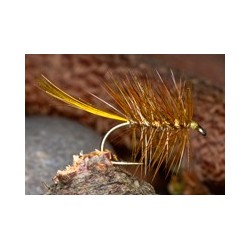 Gartmore Palmer Olive