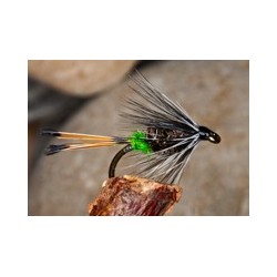 Hutchs Hotspot Pennel