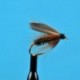 Leadwing Coachman Wet Fly
