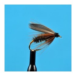 Leadwing Coachman Wet Fly