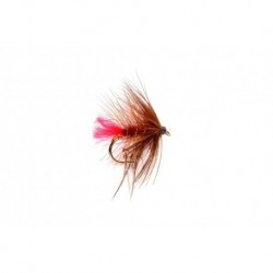 Leggy Soldier Palmer