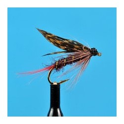Montreal Wet Fly