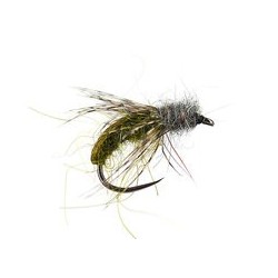 Olive Caddis Pupa Bl