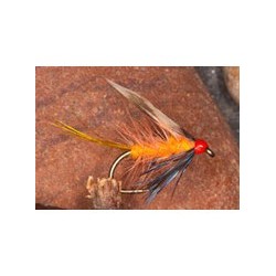 Orkney Peach Invicta