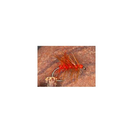 Orkney Soldier Palmer