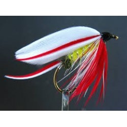 Parmacheene Belle Super Wet