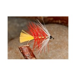 Pearly Orange Palmer