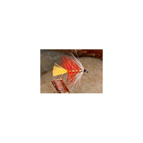 Pearly Orange Palmer