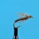 Pheasant Tail Soft Hackle