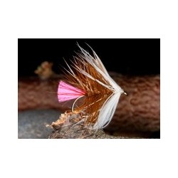 Pink Tail Loch Ordie