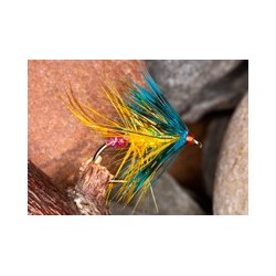 Red arsed golden olive ice bumble