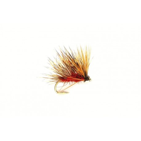 Sedgehog Fiery Brown