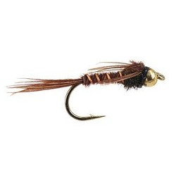 Peacock Pheasant Tail