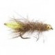 Peeping Caddis Gold