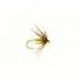 Spider Caddis Green