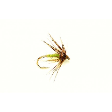 Spider Caddis Green