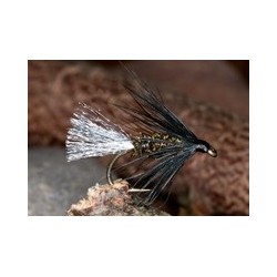 White Tip B&p Spider