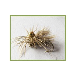 Polyfitus Nymph Hares Ear