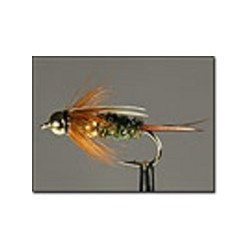 Prince Nymph Double Bead