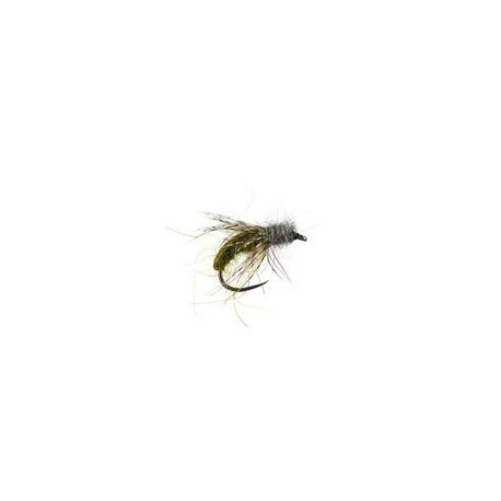 Olive Caddis Pupa Bl