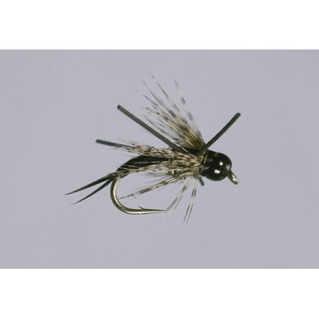 Rl Black Hot Head Copper