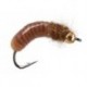 Silvermans Crane Fly Larva Tan