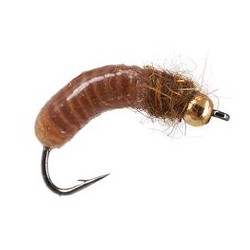 Silvermans Crane Fly Larva Tan