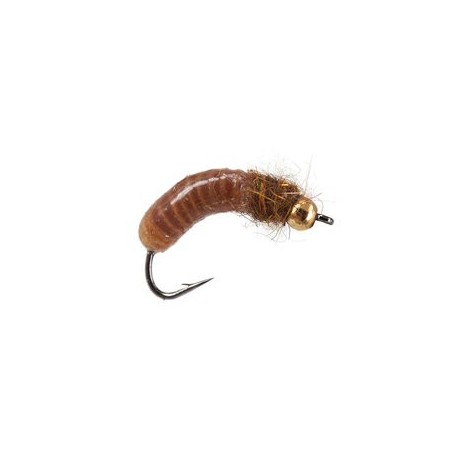 Silvermans Crane Fly Larva Tan