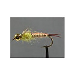 Stonefly Nymph Bead Head Golden