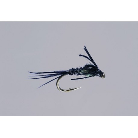 Teds Early Black Stone