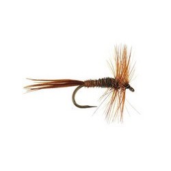 Pheasant Tail Bl