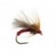 Red Grayling Dream Bl