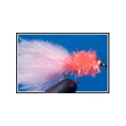 Bh Fritz Coral and Pink