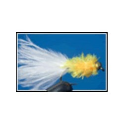 Bh Fritz Yellow and White