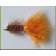 Ch Woolybugger Brown and Orange