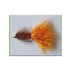 Ch Woolybugger Brown and Orange