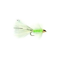 Golden Bullet Catwhisker